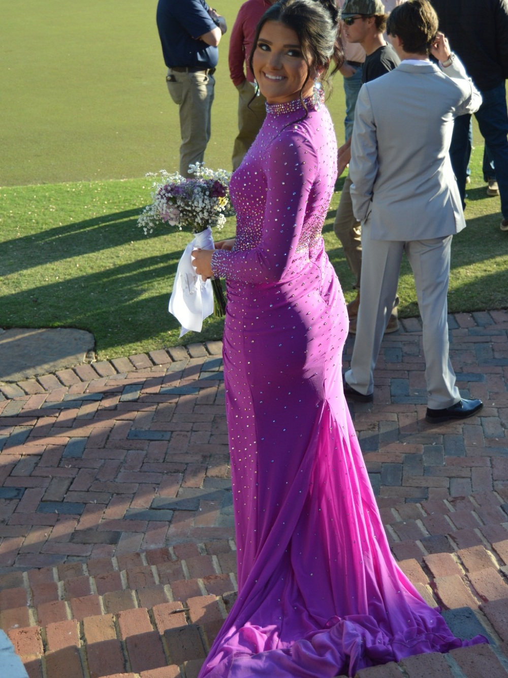 Ashley Lauren Style No. 11742
